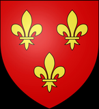 Ville de Lavardin